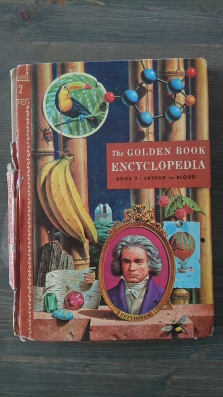 THE GOLDEN BOOK ENCYCLOPEDIA - BOOK 2