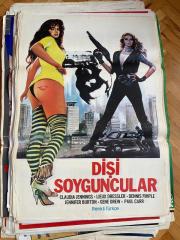 Dişi Soyguncular Film Afişi | Claudia Jennings, Lieux Dressler