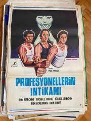 PROFESYONELLERİN İNTİKAMI FİLMİNİN AFİŞİ OYNAYANLAR: RON MARCHINI, MICHAEL CHONG, JOSHUA JOHNSON, RON ACKERMAN