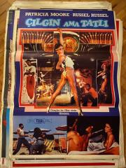 ÇILGIN AMA TATLI FİLMİNİN AFİŞİ - PATRICIA MOORE, RUSSEL RUSSEL