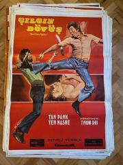 ÇILGIN DÖVÜŞ FİLMİNİN AFİŞİ OYNAYANLAR: TAN PANK,YEN NASHE YÖNETMEN: TYROM SHU