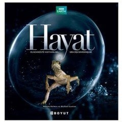 Hayat - Olağanüstü Hayvanlar, Sıra Dışı Davranışlar - Martha Holmes