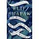 10 Minutes 38 Seconds In This Strange World - Elif Shafak