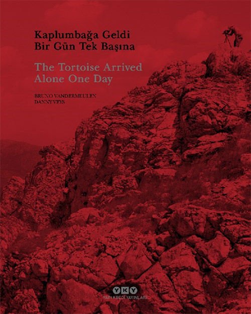 Yapı Kredi Yayınları Kaplumbağa Geldi Bir Gün Tek Başına / The Tortoise Arrived Alone One Day