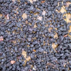 Yabanmersini kurusu – Dried Blueberry -  1Kg