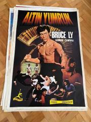 ALTIN YUMRUK FİLMİNİN AFİŞİ OYNAYANLAR: BRUCE LY, RAMUN ZAMORA