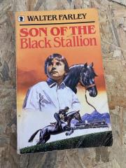 Son Of The Black Stallion