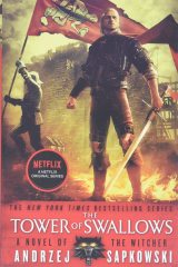 The Tower Of Swallows - Andrzej Sapkowski
